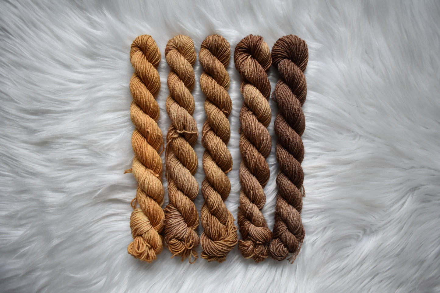 Southern Sweet Tea | Mini Fade | Sock Weight Yarn | Steeped in Color Collection
