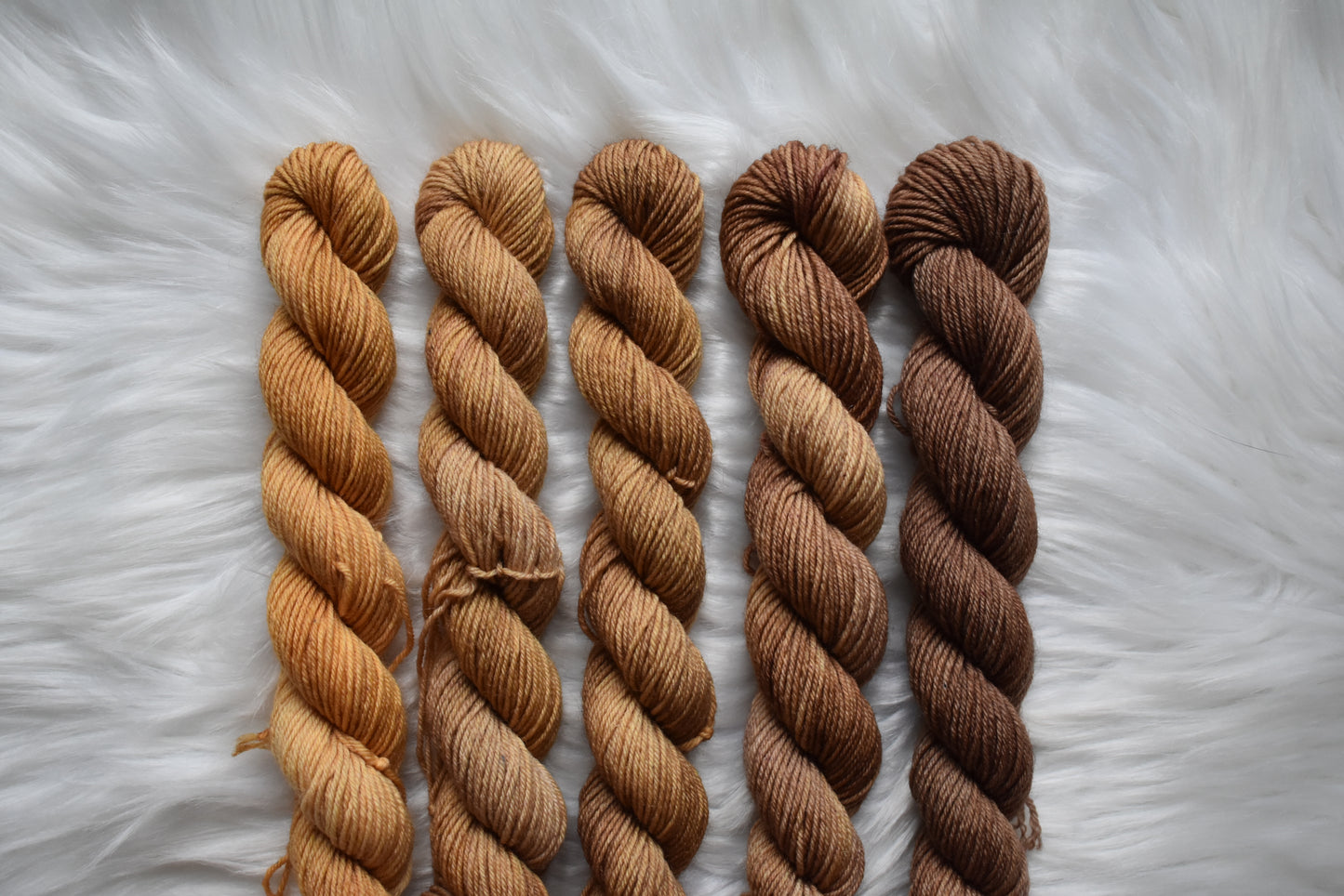 Southern Sweet Tea | Mini Fade | Sock Weight Yarn | Steeped in Color Collection