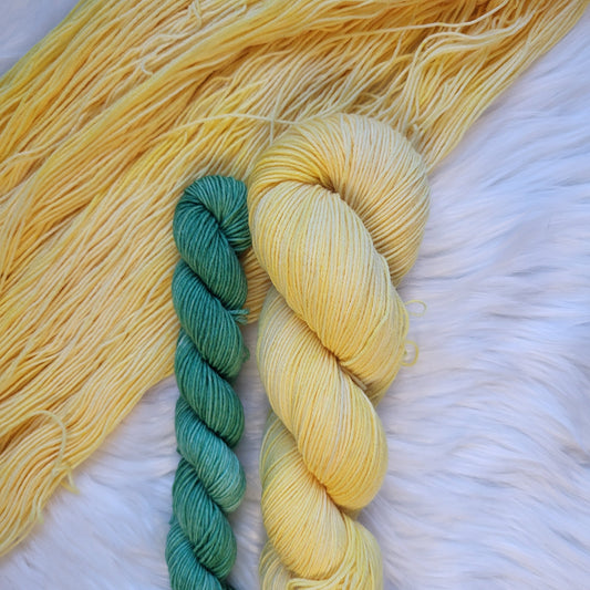March Daffodils Sock Set | Fingering Weight Yarn | Birth Flower Collection