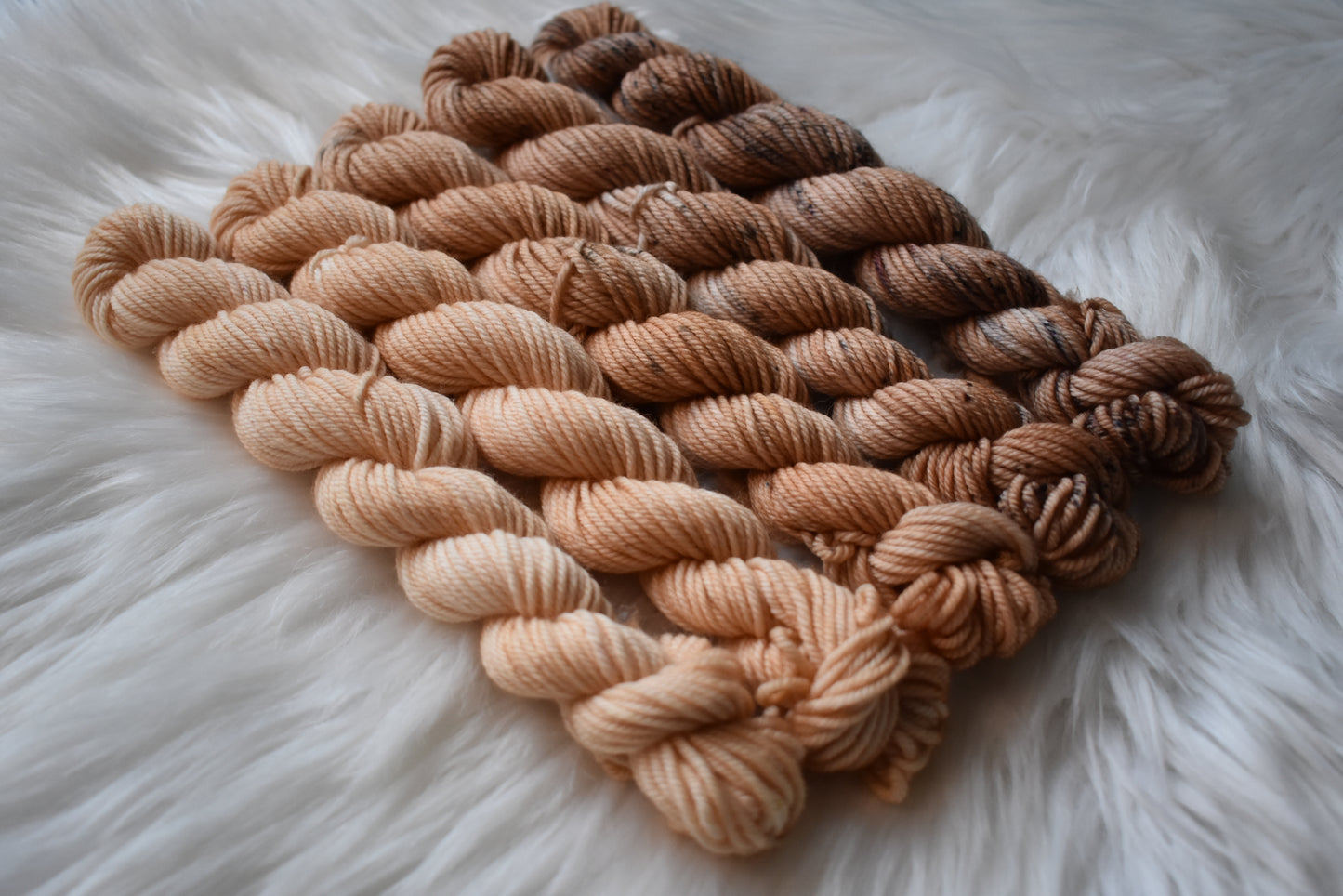 Brown Sugar Boba | Mini Fade | DK Weight Yarn | Steeped in Color Collection