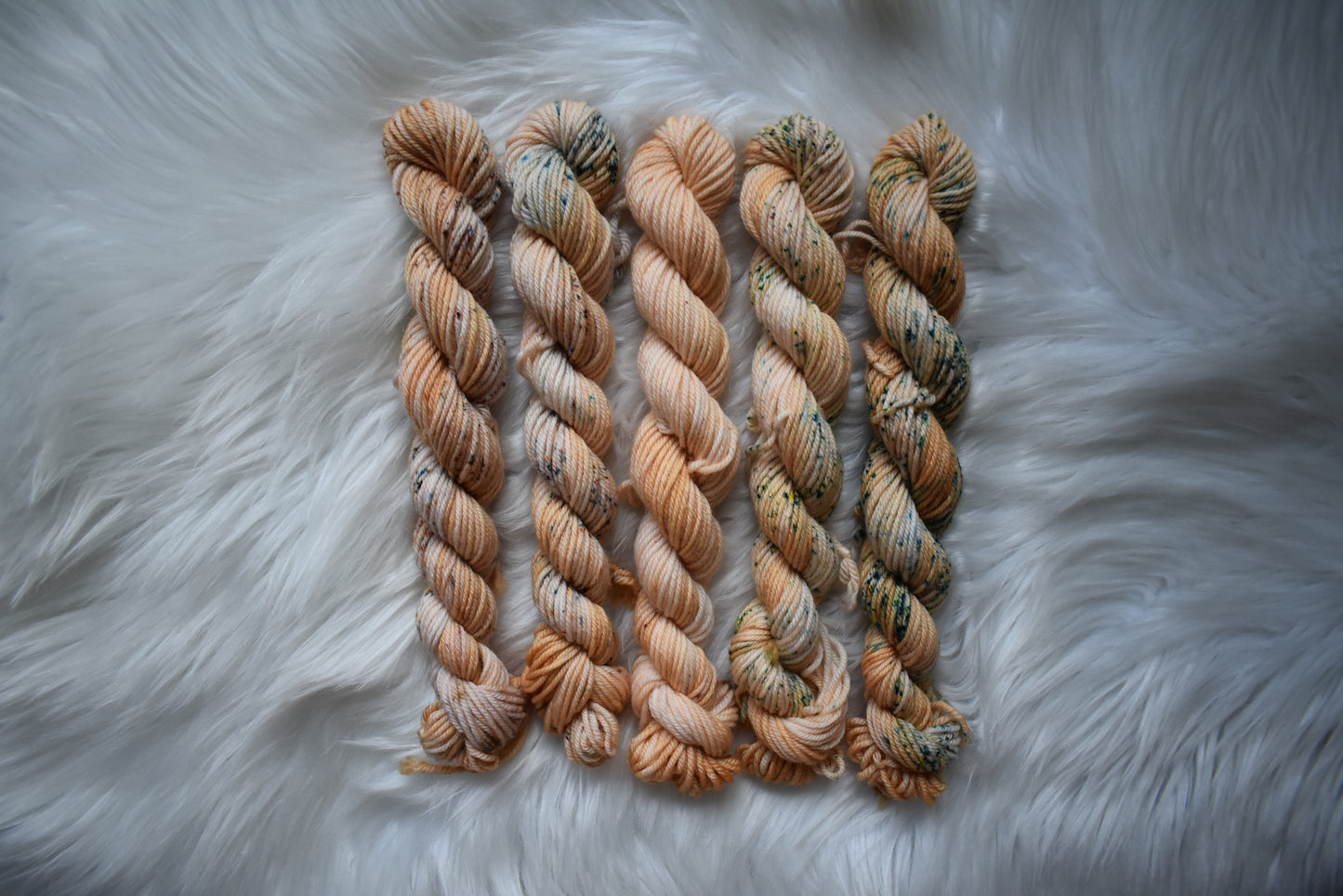 Oolong Tea Leaves | Mini Fade | DK Weight Yarn | Steeped in Color Collection