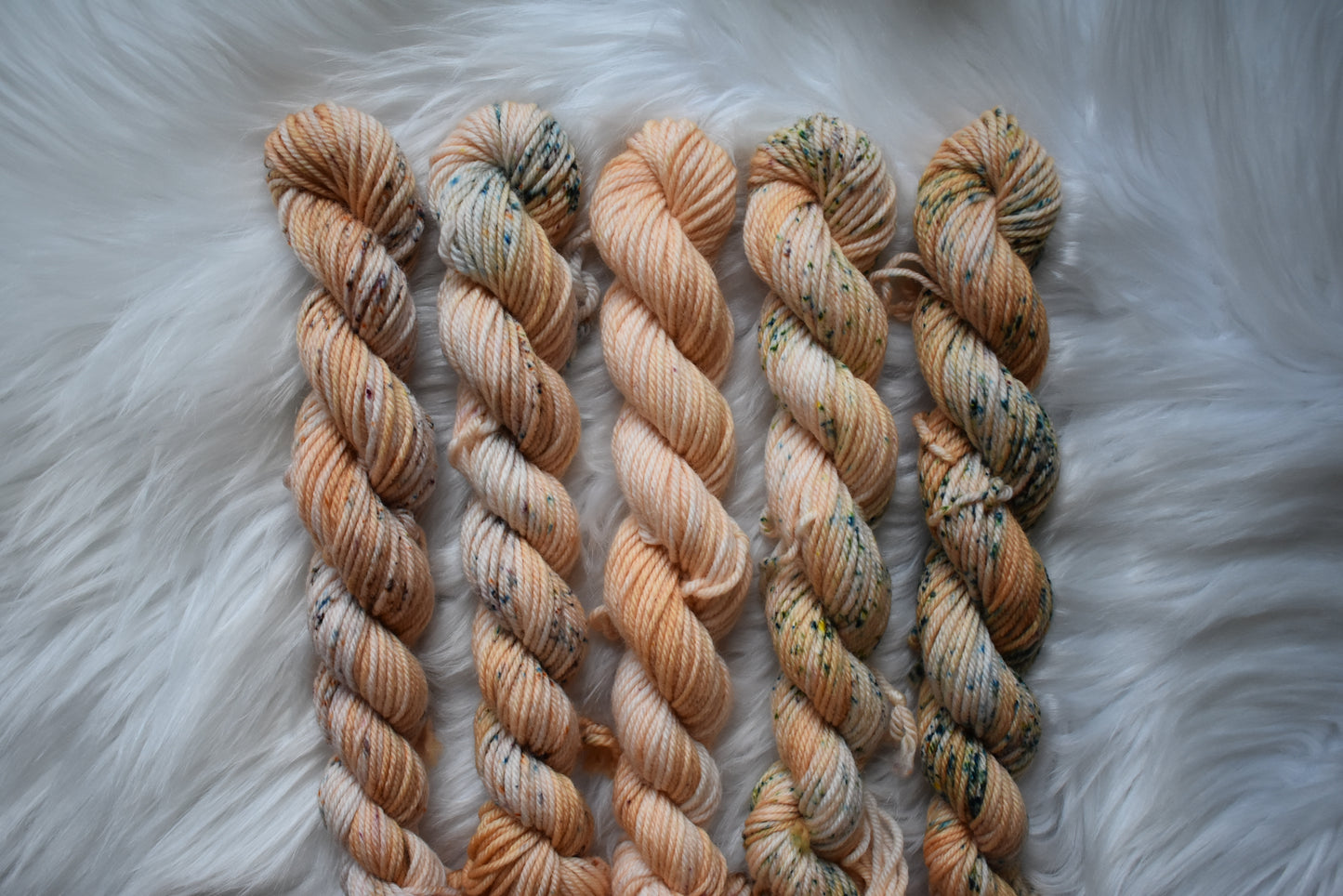 Oolong Tea Leaves | Mini Fade | DK Weight Yarn | Steeped in Color Collection