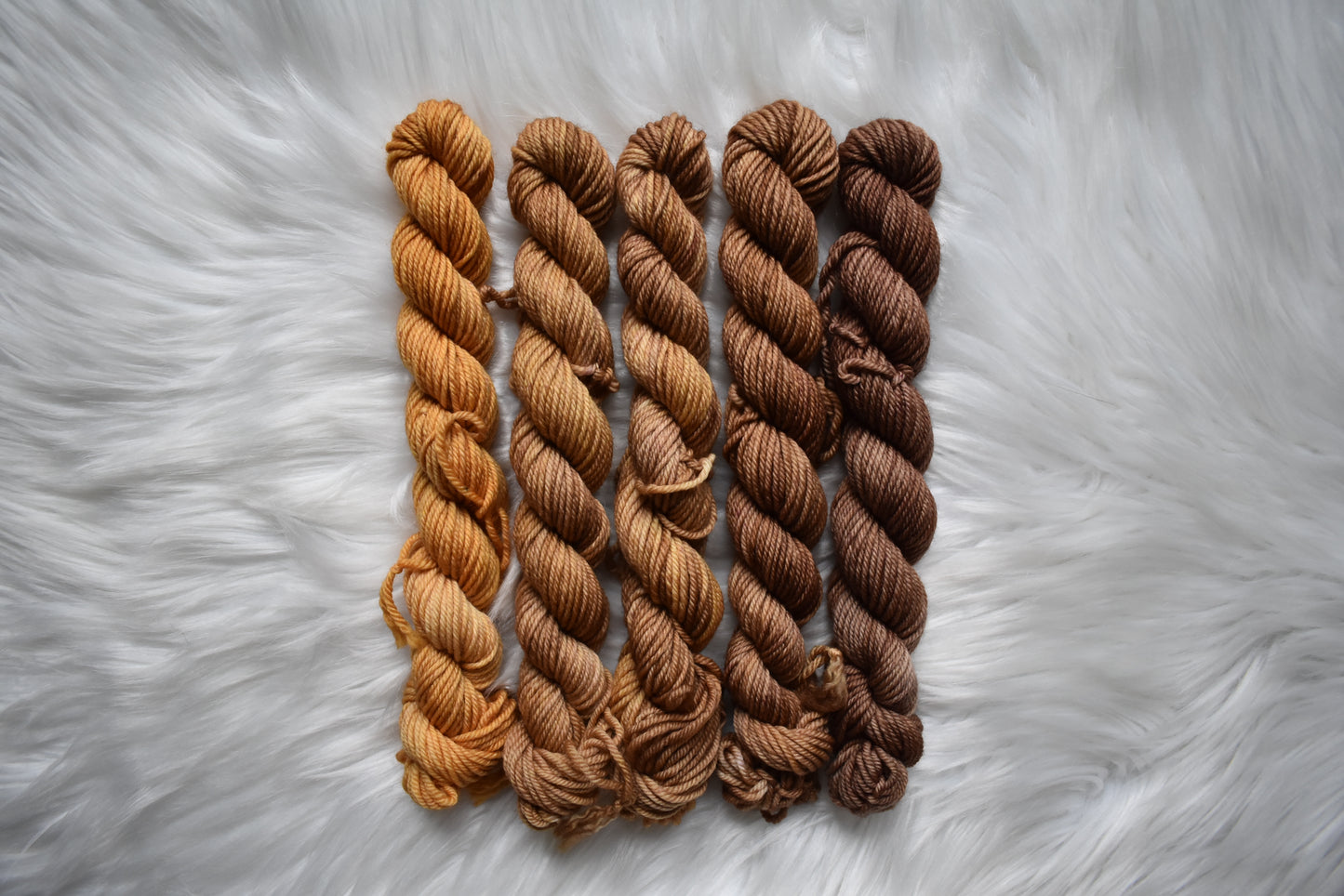Southern Sweet Tea | Mini Fade | DK Weight Yarn | Steeped in Color Collection