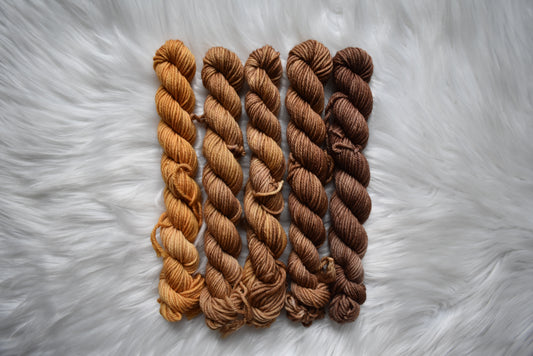 Southern Sweet Tea | Mini Fade | DK Weight Yarn | Steeped in Color Collection
