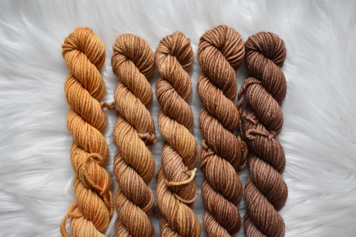 Southern Sweet Tea | Mini Fade | DK Weight Yarn | Steeped in Color Collection