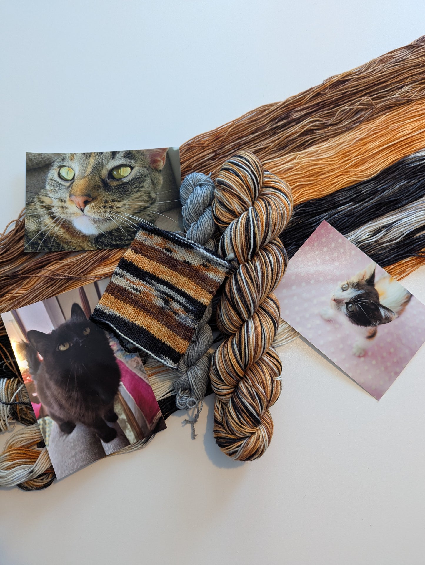 Kitten Distribution System | Sock Weight Yarn | Yarns by Pear Maiden