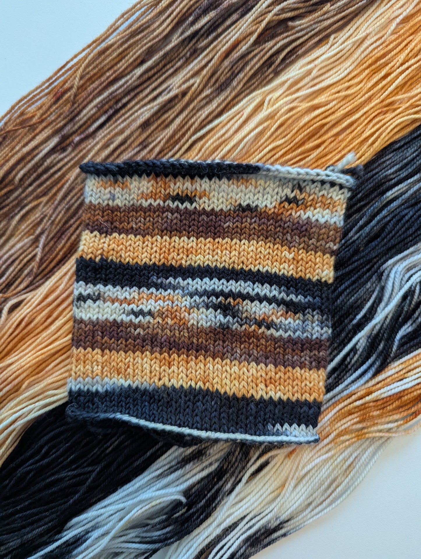 Kitten Distribution System | Sock Weight Yarn | Yarns by Pear Maiden